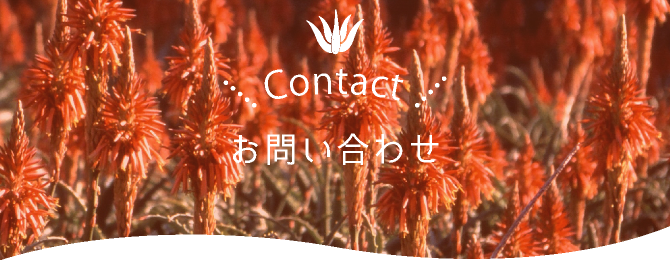 お問い合わせ