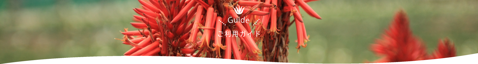 ご利用ガイド