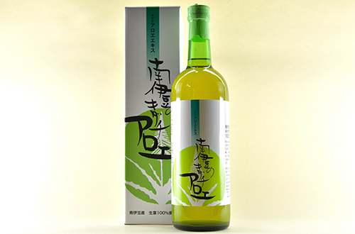 南伊豆のキダチアロエ