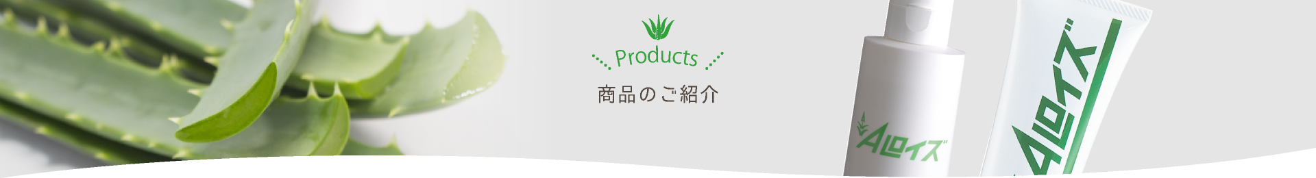 ご利用ガイド