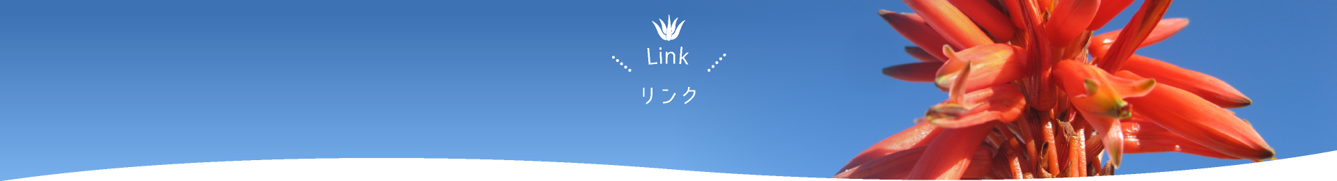 リンク