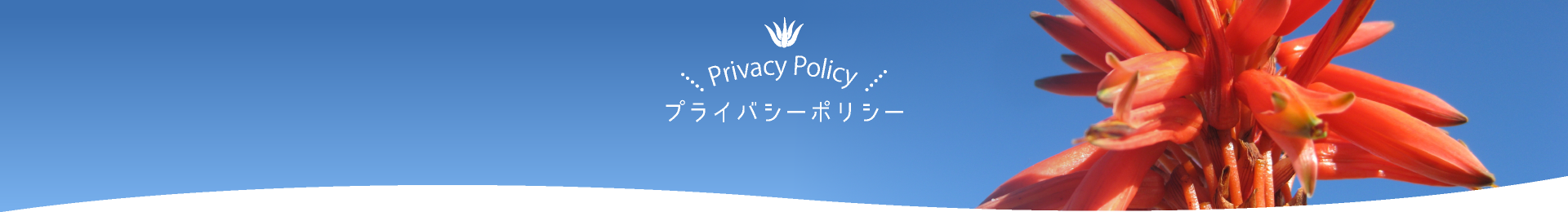 プライバシーポリシー