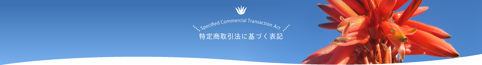 特定商取引法に基づく表記